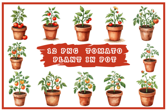 Download Tomatoes Watercolor Clipart Bundle #25 - Clipart bundle Collection