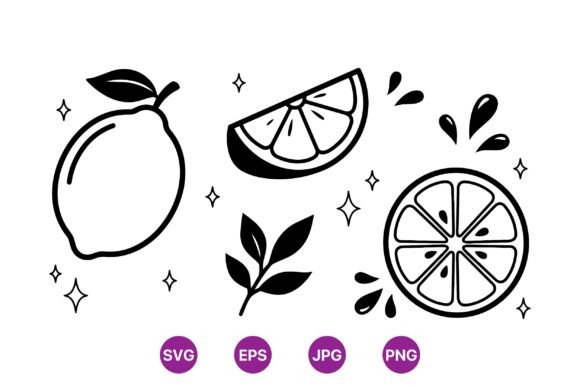 Download Lemon Citrus Line Art Illustrations - Line art illustrations Collection